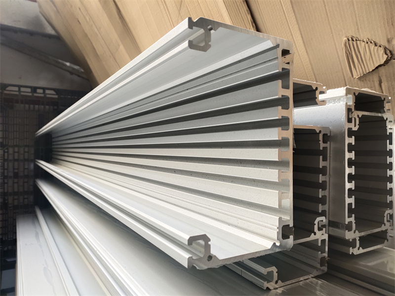 异型桃子视频官网更新在线观看